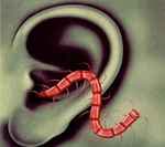 An Odd Entrances by Thee Oh Sees