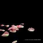 Crooked Remainders by Kristin Hersh