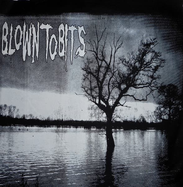 Blown To Bits Benefit Record