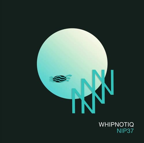 NIP 37