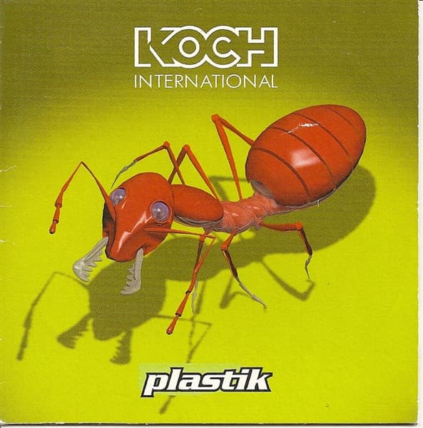 Koch International