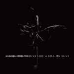 Shine Like A Billion Suns by Boom Boom Satellites